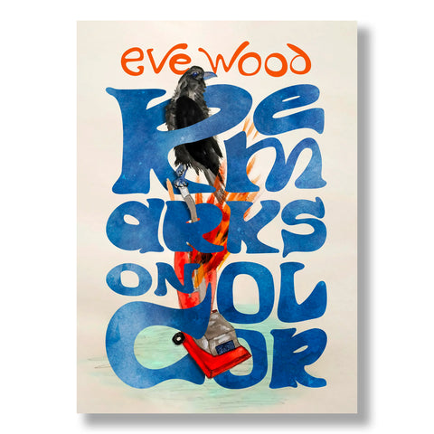 Eve Wood: Remarks on Color (Signed)