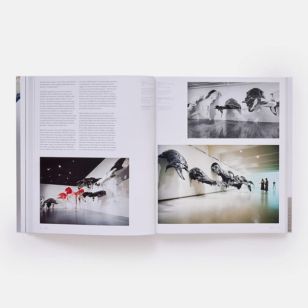 Lynda Benglis (Phaidon) – MOCA Store