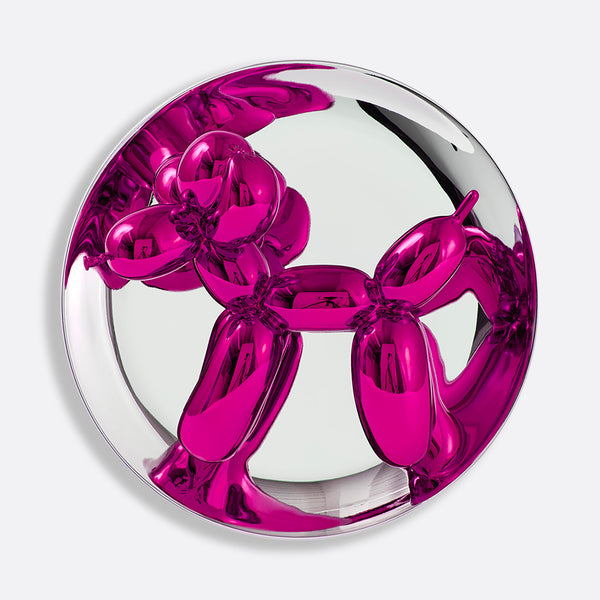 MAGENTA_DOG_W_PHOTO_CRED.