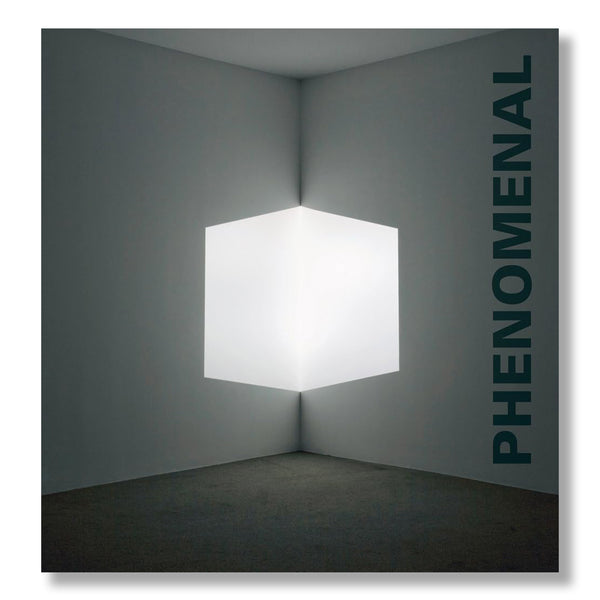 Phenomenal: California Light, Space, Surface – MOCA Store
