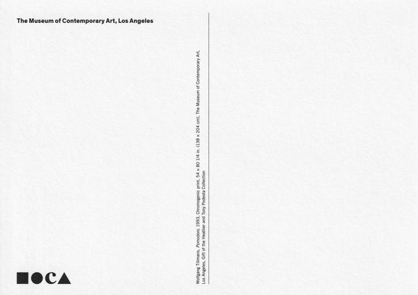 Wolfgang Tillmans ポストカード Wolfgang Tillmans: Postcard (Pomodoro) – MOCA Store