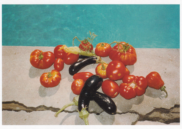 Wolfgang Tillmans ポストカード Pomodoro_Front_grande.jpg?v=