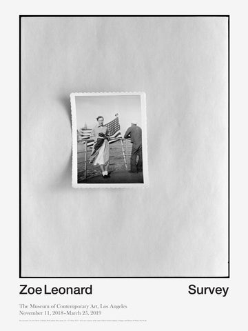 Zoe Leonard: Survey Poster