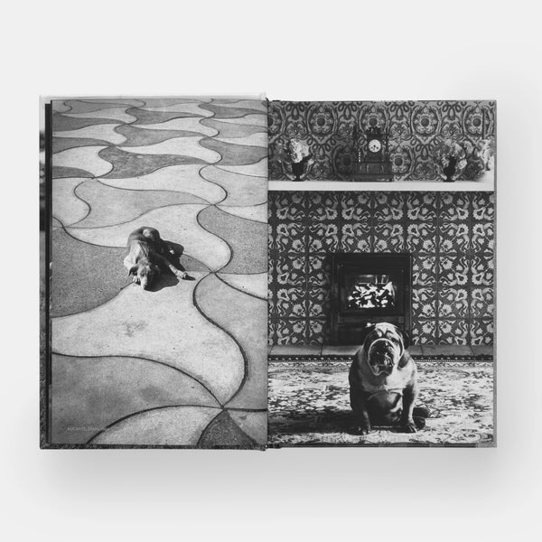 Elliott Erwitt: DogDogs – MOCA Store