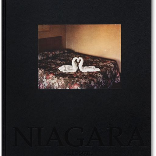Alec Soth: Niagara – MOCA Store