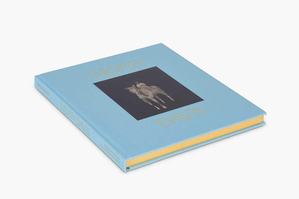 Noah Davis – MOCA Store