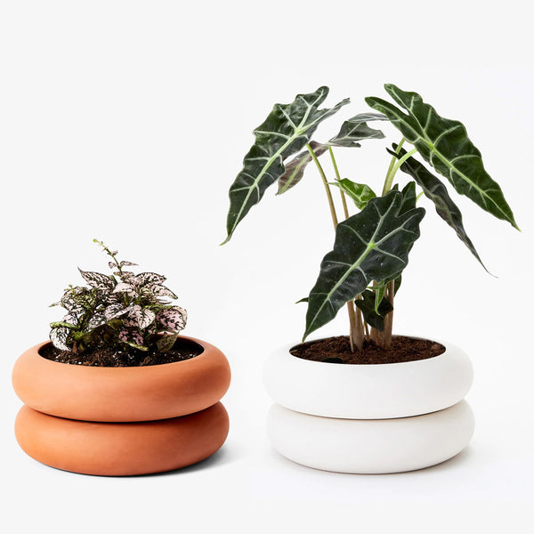 Stacking Planter - Short – MOCA Store