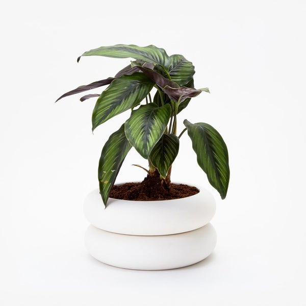 Stacking Planter - Short – MOCA Store