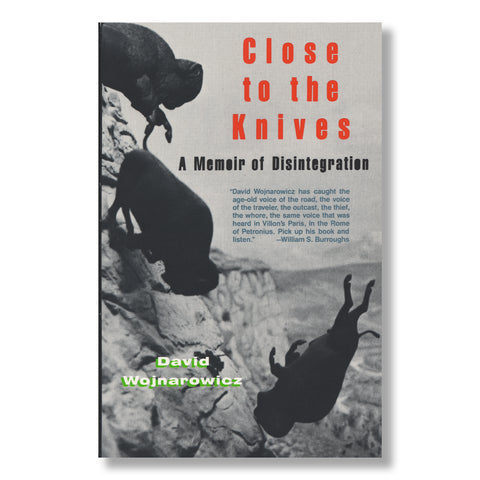 David Wojnarowicz: Close to the Knives