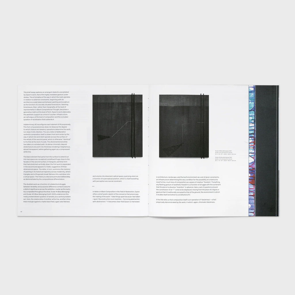 Torkwase Dyson: A Liquid Belonging