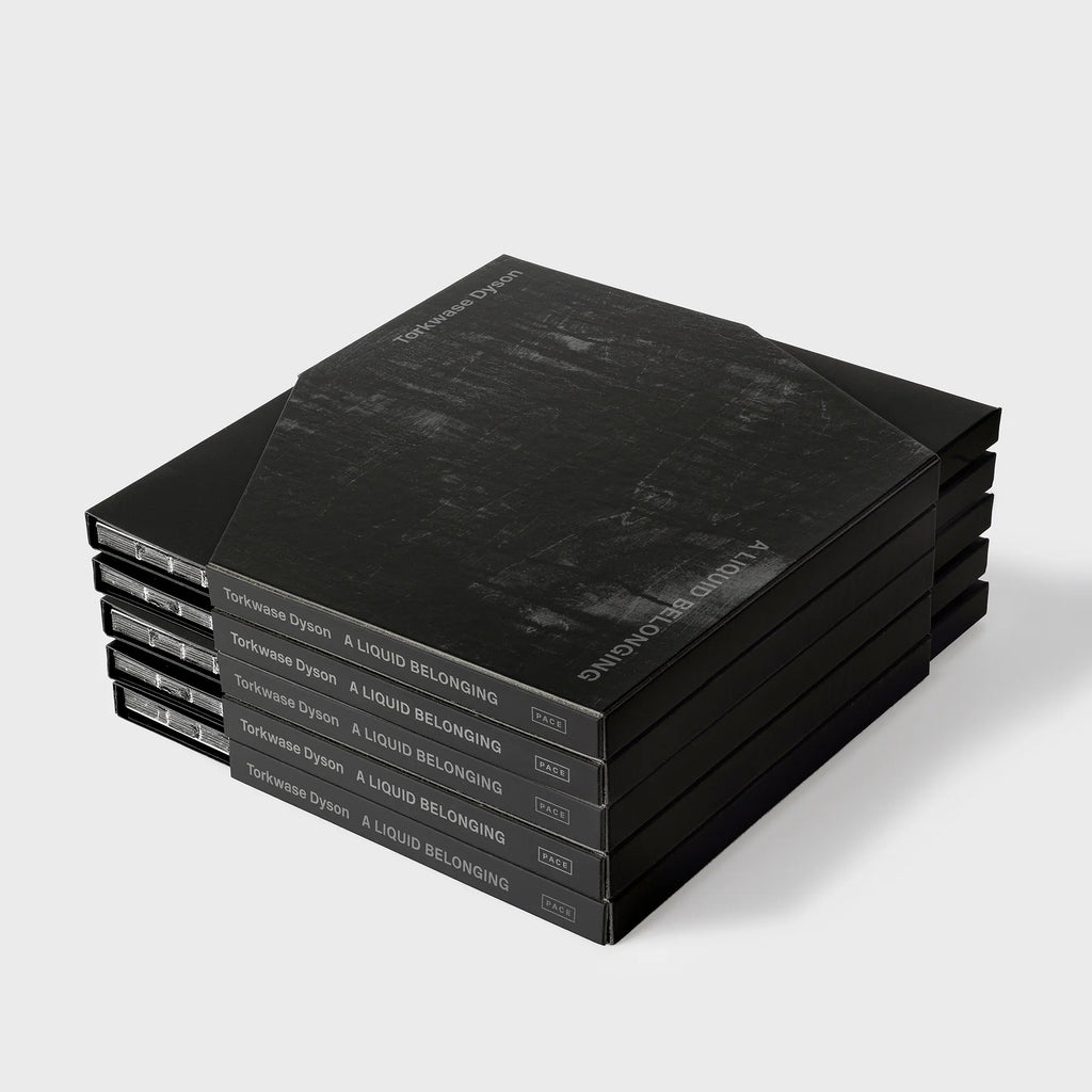 Torkwase Dyson: A Liquid Belonging