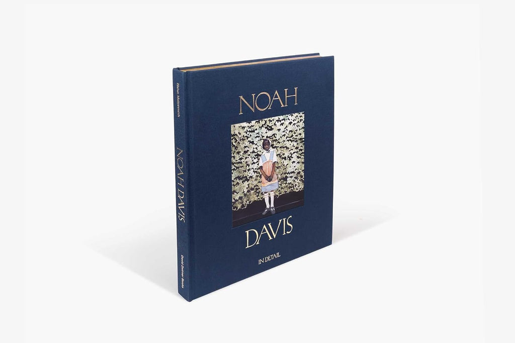 Noah Davis: In Detail
