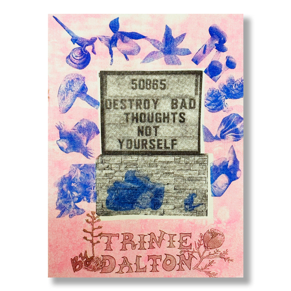 Trinie Dalton: Destroy Bad Thoughts Not Yourself (Signed)