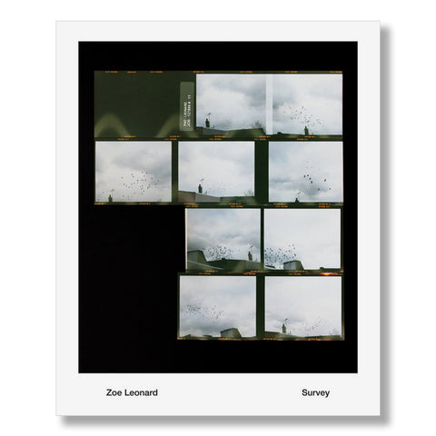 Zoe Leonard: Survey