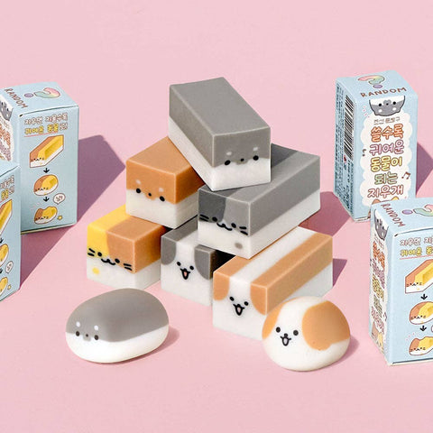 Mystery Pet Eraser