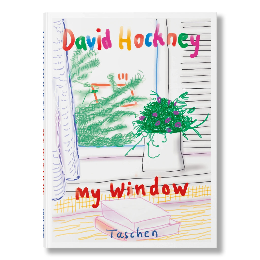 David Hockney: My Window