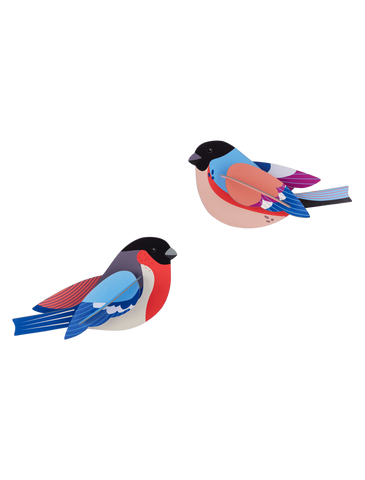 Finches Wall Art