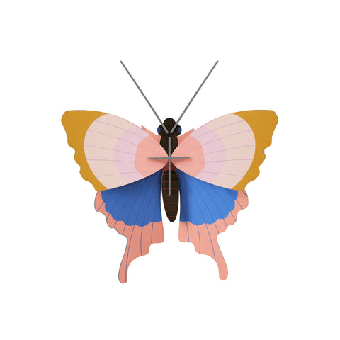 Gold Rim Butterfly Wall Art