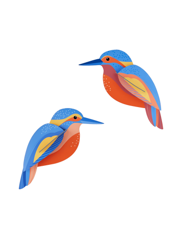 Kingfishers Wall Art