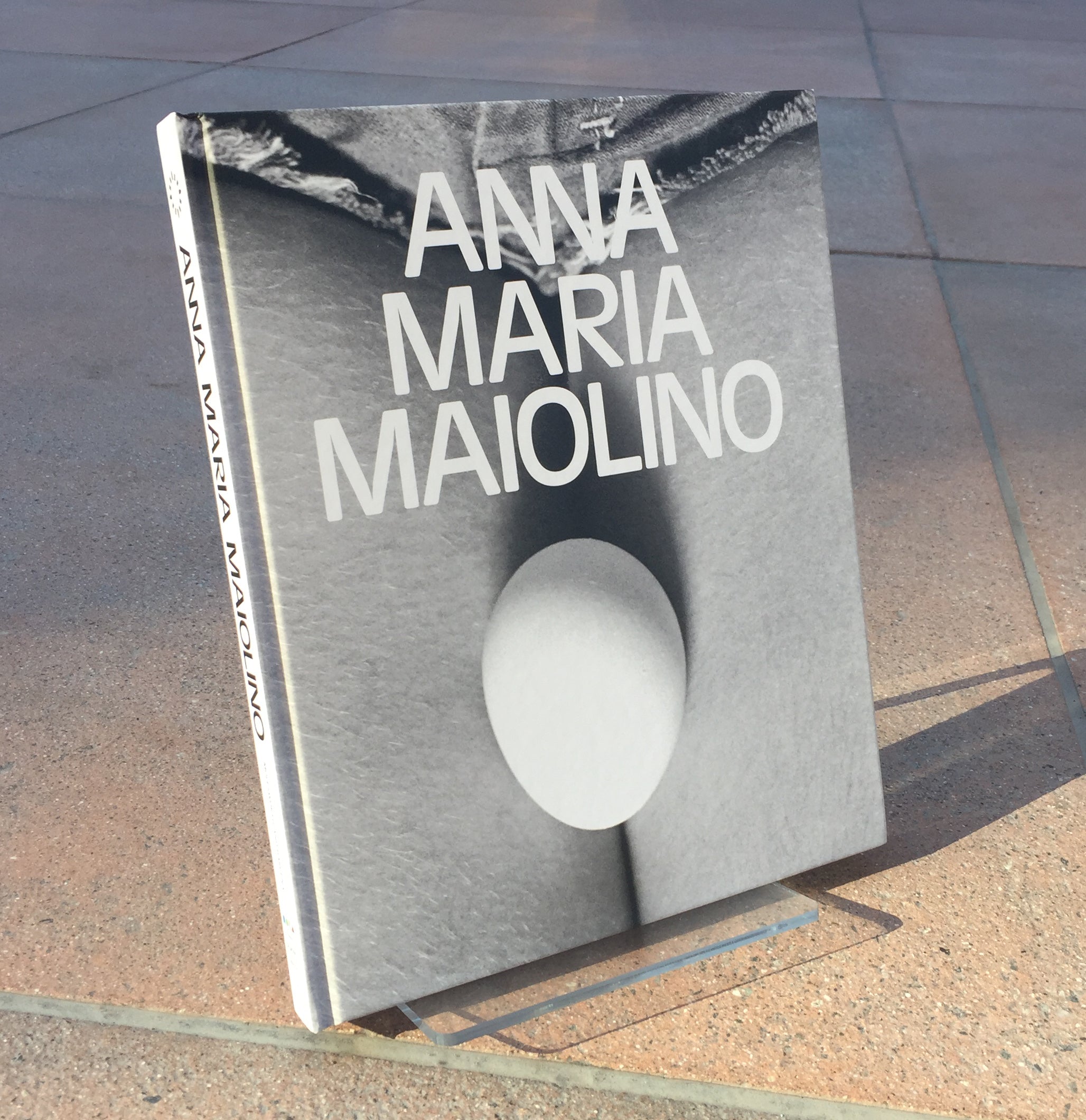 Anna Maria Maiolino