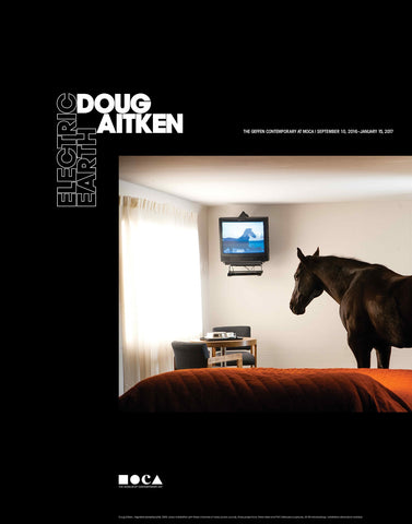 Doug Aitken: Electric Earth Poster (Migration, (empire))