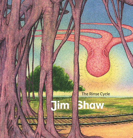 Jim Shaw: The Rinse Cycle