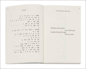 N.H. Pritchard: The Matrix Poems 1960-1970